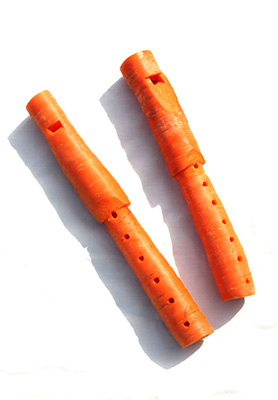 2 flutes dbl carotte